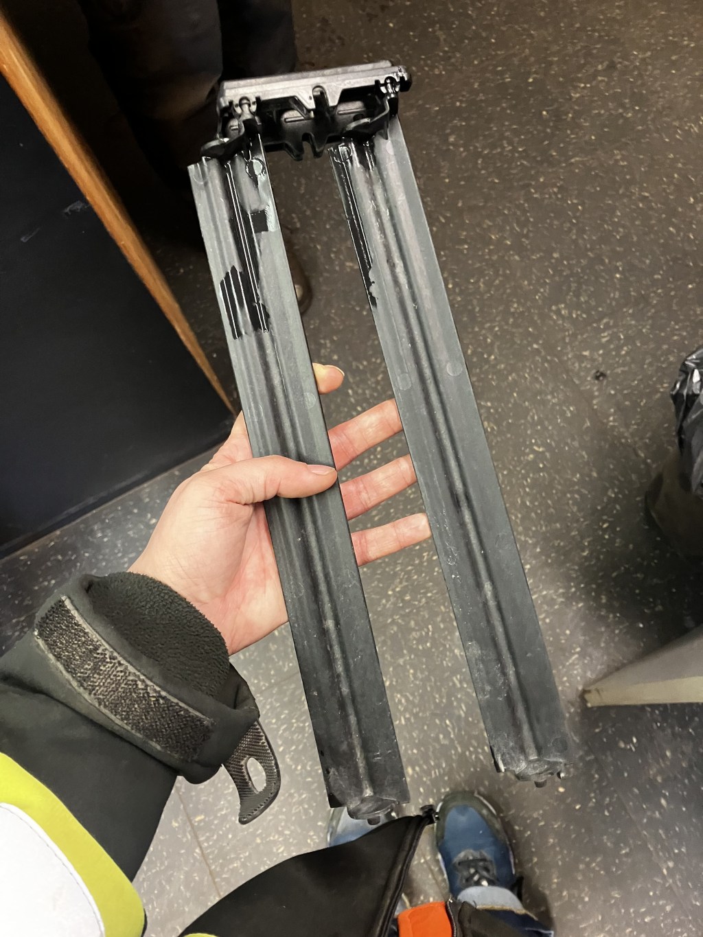 A Bird Tried to Kill my&nbsp;Car!