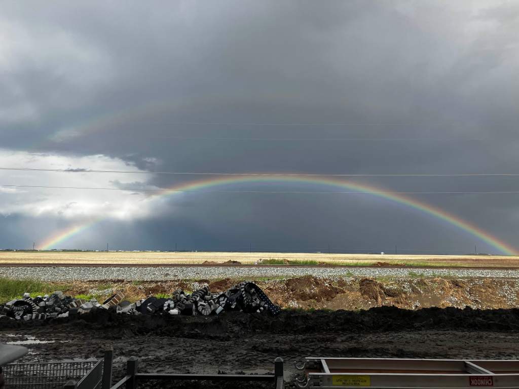 Nature of the&nbsp;Beast