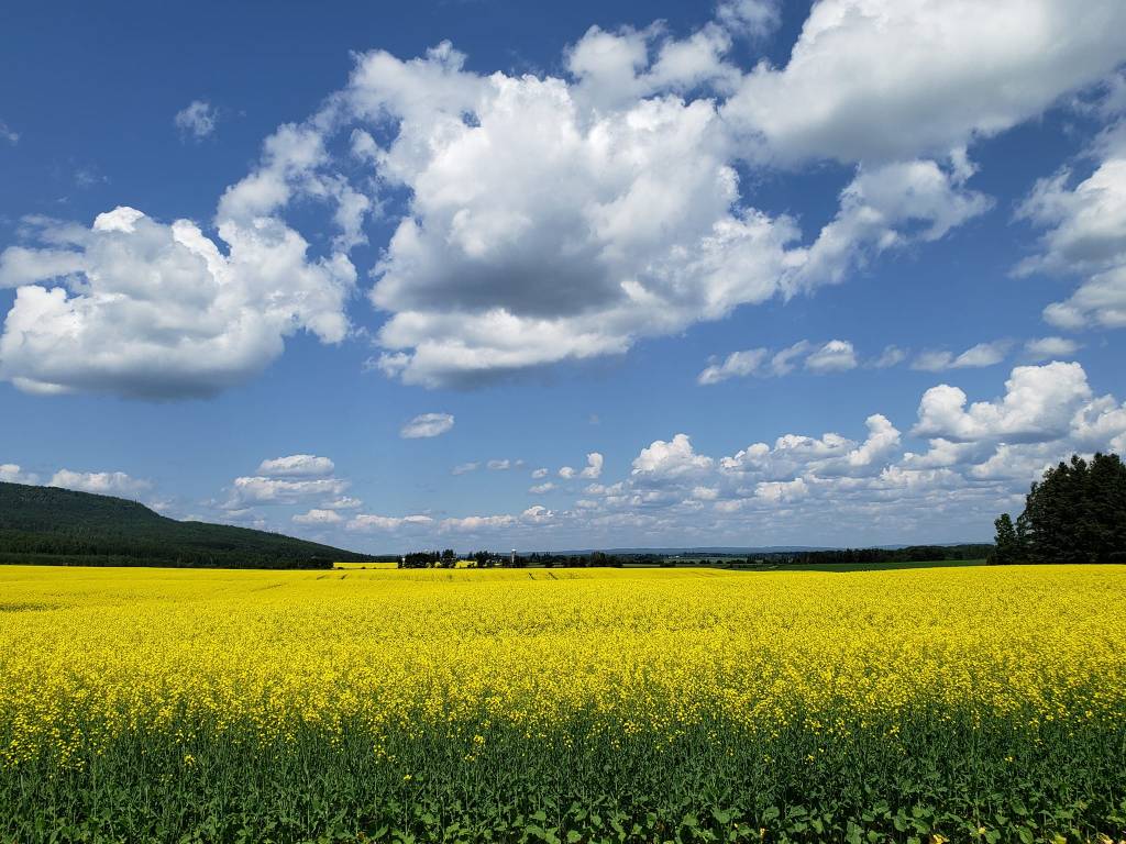 Take Me Home, Country&nbsp;Roads