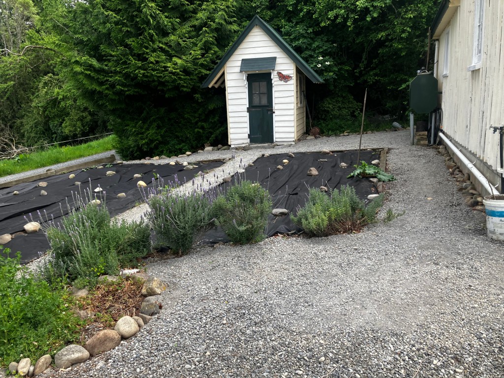 Do You See What I&nbsp;See?