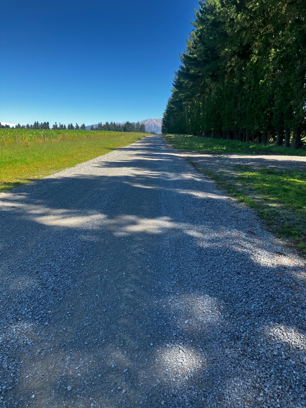 Just An Ordinary&nbsp;Day